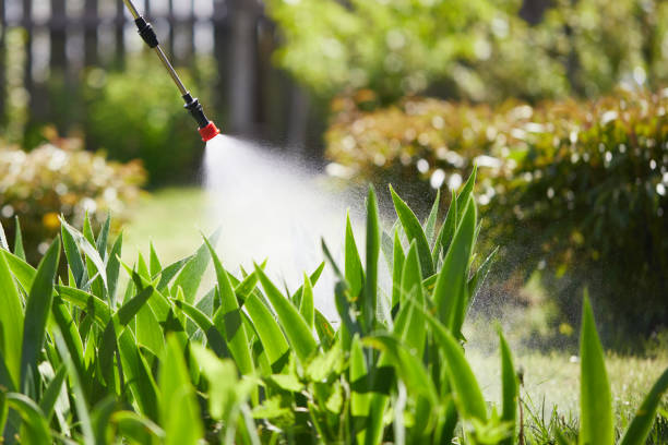 24/7 Emergency Bed Bug Control experts in Lihue, HI