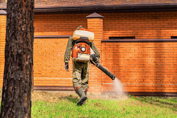 Trusted Cockroach Control service in Lihue, HI - Nex Pest Control